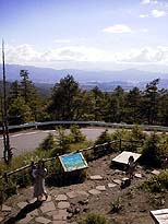 view1
